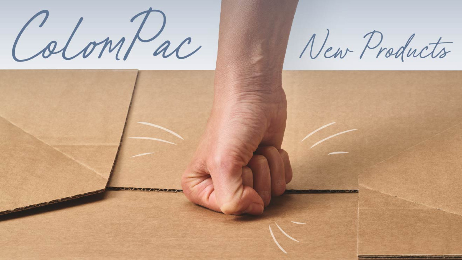 New Products Launched - Colompac range of ecommerc...