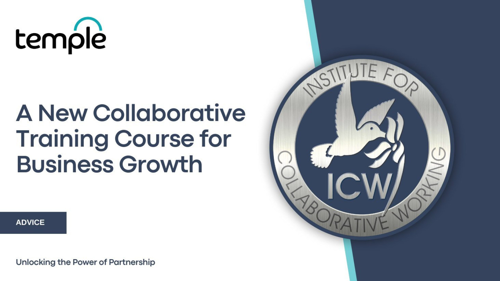 A New Collaborative Training Course for Business G...