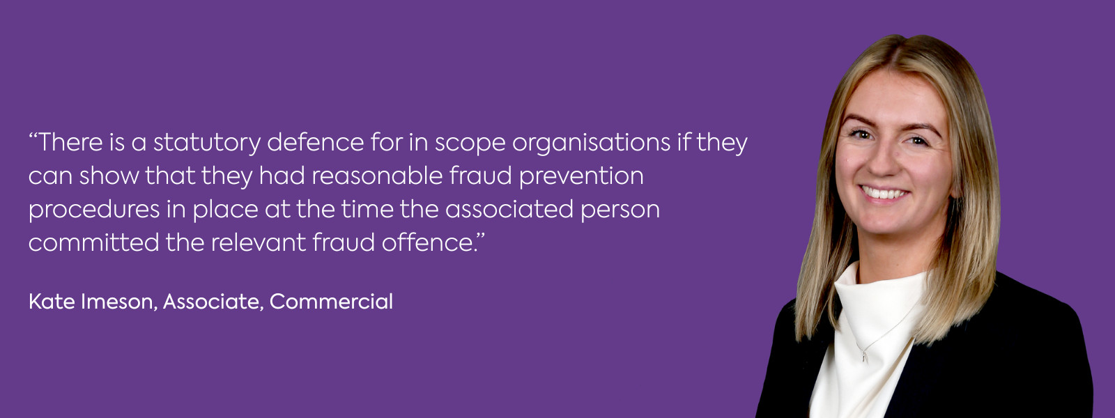 Anti fraud clauses in commercial service contracts