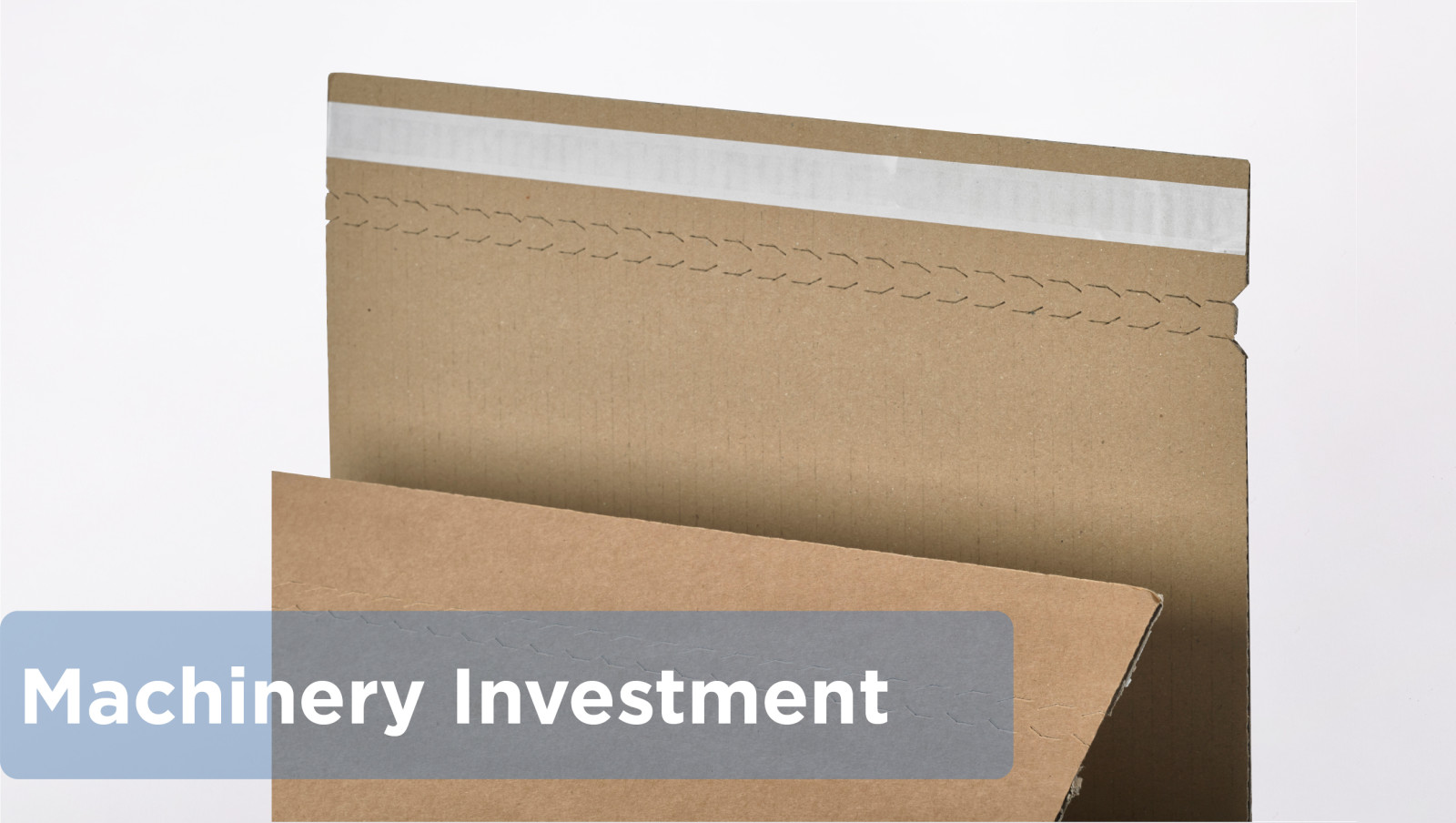 Machinery Investment